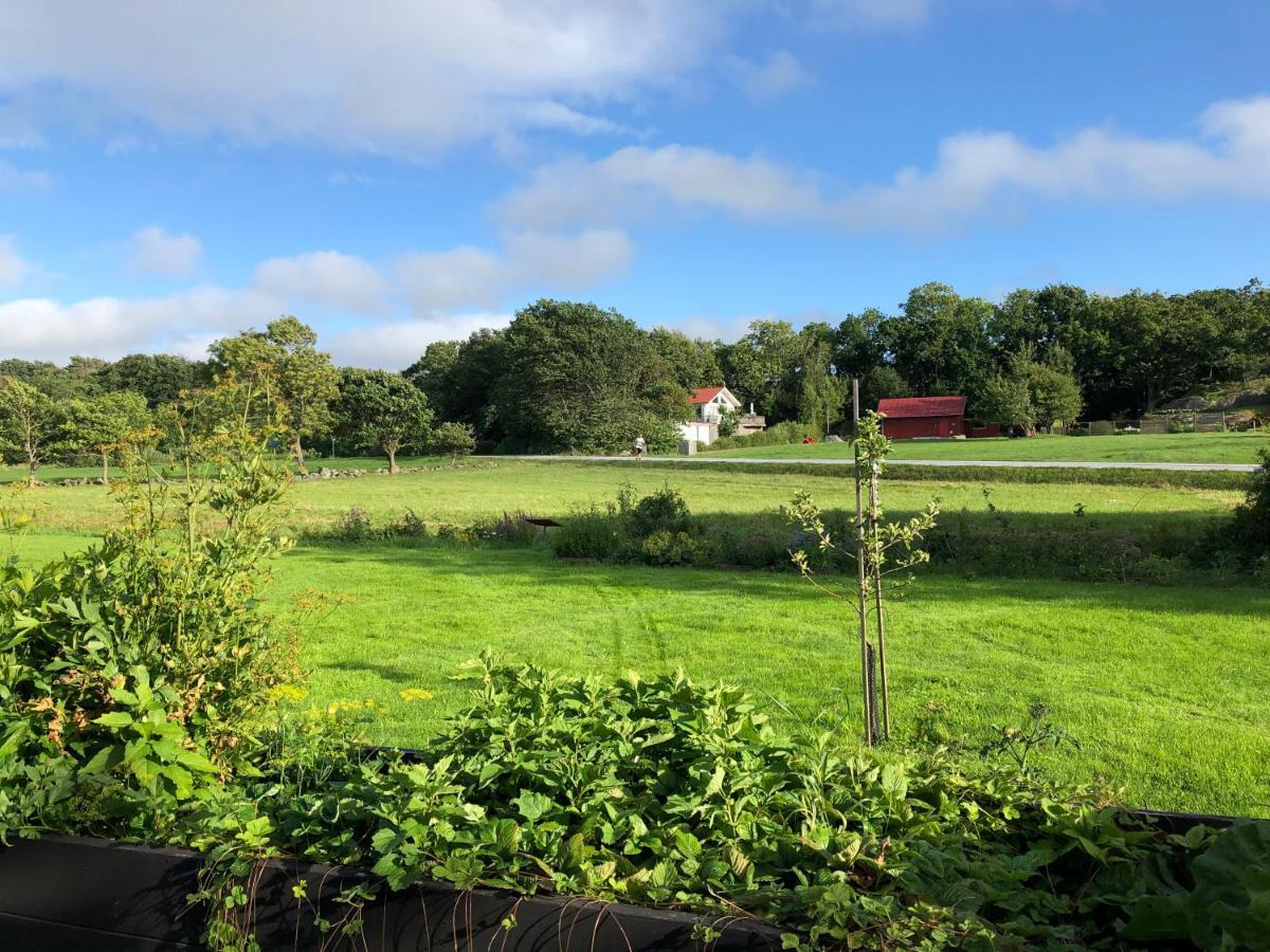 Mysig Nybyggd Stuga Naera Hav Och Natur Klovedal Exterior photo